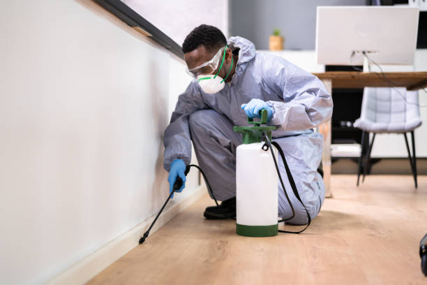 Best Fumigation Services  in Algoma, WI